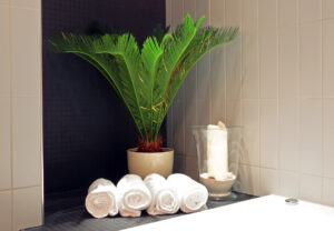 Badezimmer Highlights 
