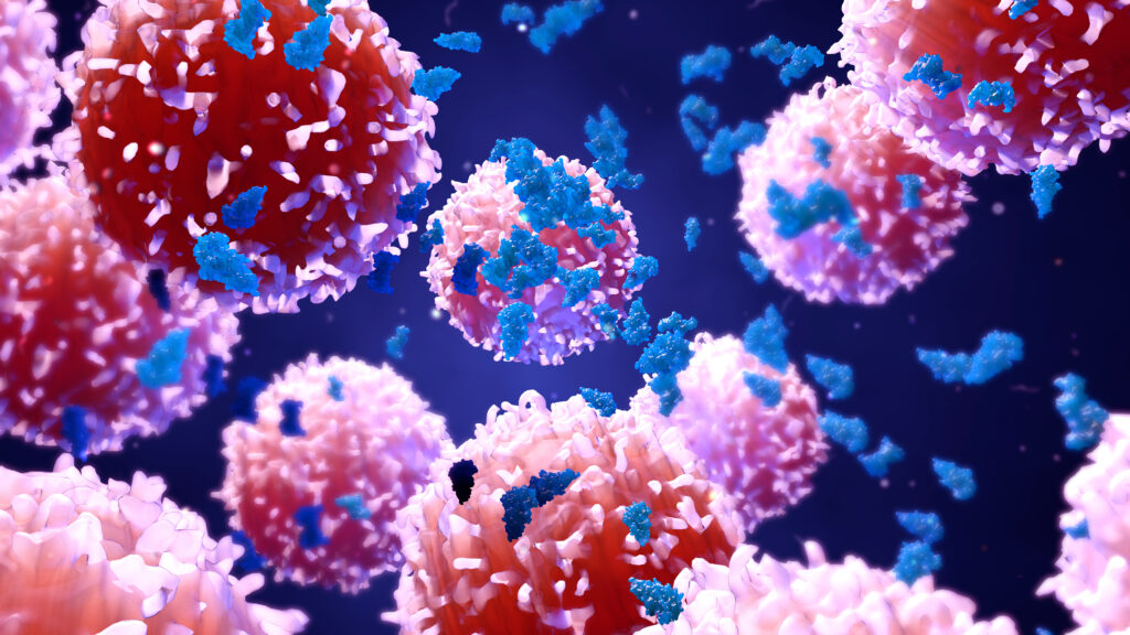 Enzyme kaufen