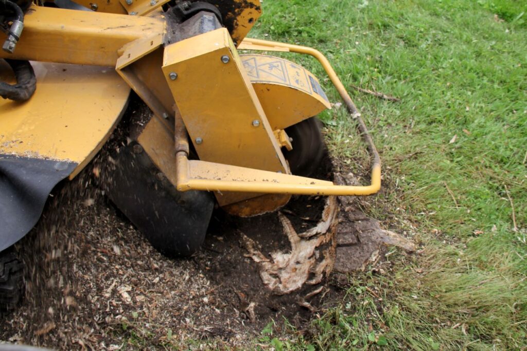 Großaufnahme einer Wurzelfräse, die einen Baumstumpf zerkleinert, für effektive Wurzelentfernung im Garten