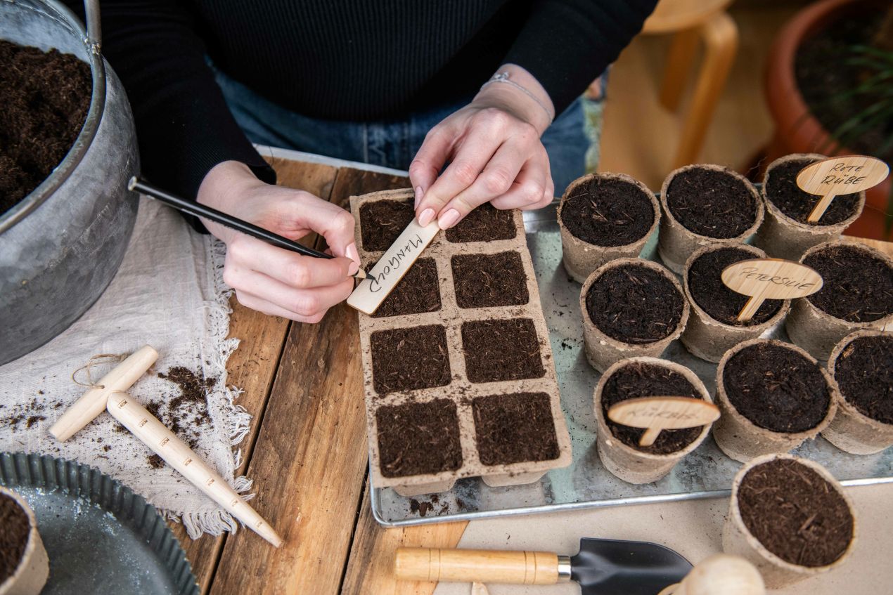 Hände beschriften Anzuchttöpfchen mit Pflanzenschildern – ideal für die Planung eines Hochbeets mit Mischkultur.
