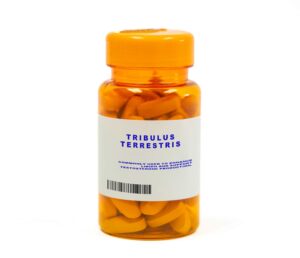 Tribulus Terrestris_Was Ist Tribulus